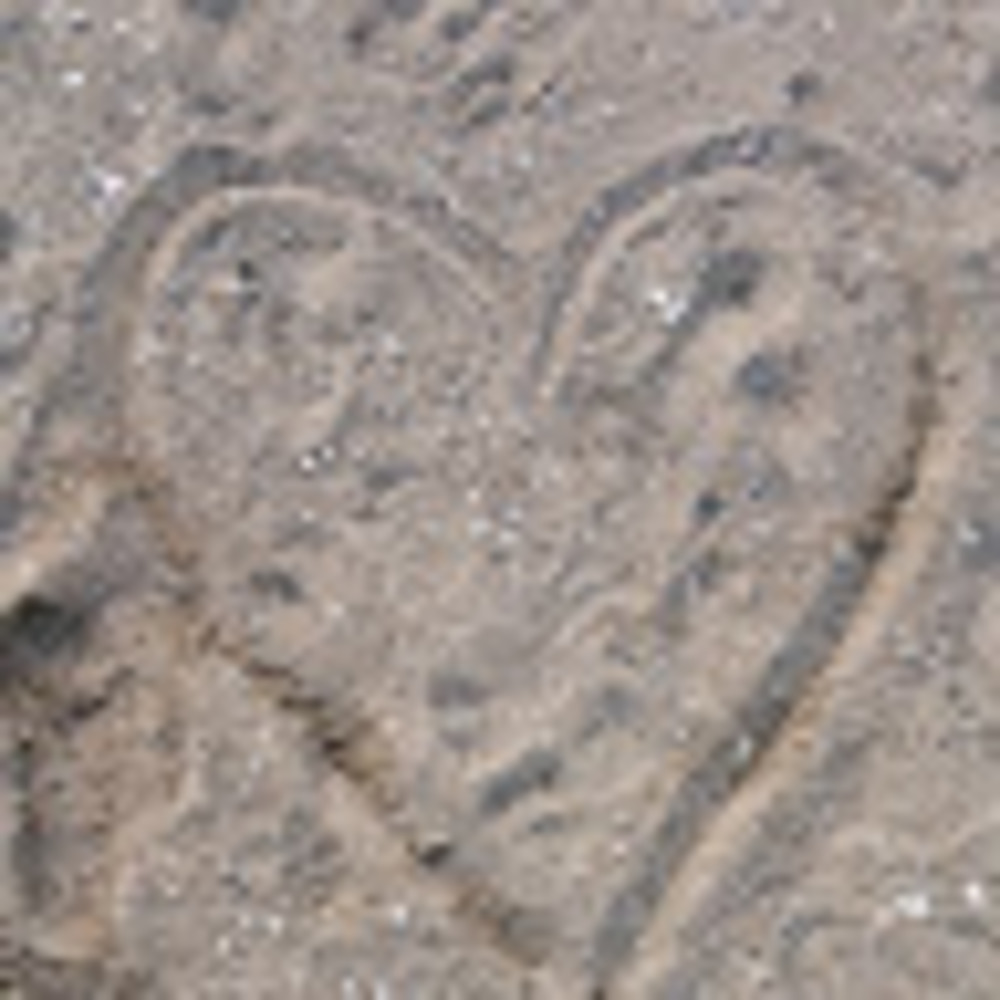 Meet your Posher, Em